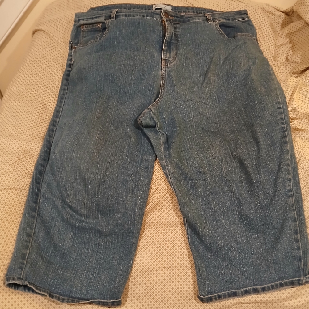 Kim Rogers Denim 22W Capri (061425B)